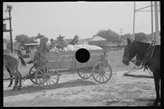 0822_Waggon load of cotton probably Moundville, Alabama