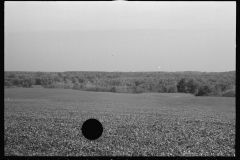 0889_Large expanse of agricultural land , unknown location