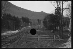 1165_Railtrack and telegraph at foot of extensive  coniferous  forest , unknown location .