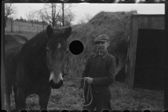 1195_Probable subsistence farmer and mule . Location unknown