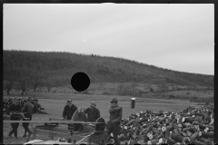 1201_Mobile logging gang with circular saw . Location unknown .