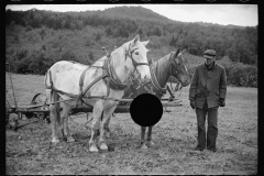 1487_Light ploughing with two horses, probably near Hyde Park, Vermont