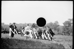 1510_Spoiled negative, two horses with carriage,