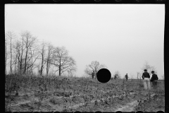 01577_Possibly planting Black Locust , Natchez Project  , Tennessee