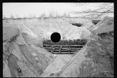 01588_Erosion control Coalins Forest , Western Kentucky