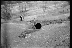 01591_Erosion control Coalins Forest , Western Kentucky