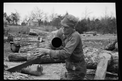 01592_Cutting timber  for further cutting into shingles , Tennessee