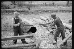 01593__Cutting timber  for further cutting into shingles , Tennessee