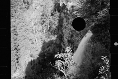 1621_High waterfall in heavily wooded terrain , unknown location