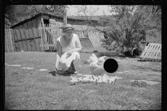 1638_Farmers wife with hat, hen and chicks , Granger Homesteads