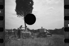 1668_Planting transported tree , Greenbelt , Maryland