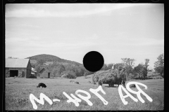 1676_Wagon of hay; hay-making , Vermont