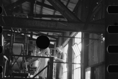 1766_ Juicers in the grapefruit canning plant at Winter Haven, Florida.