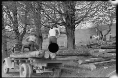 1806_Loading truck with  felled timber ,  location unknown