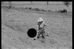 1879_Raking Hay , unknown farmer or location