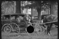 1884_Elegant two seater horse drawn carriage , unknown location