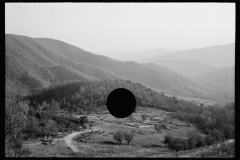 1938_ Elevated view of timber clearing for construction, unknown location