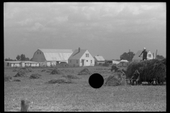 1979_Hay making , field close to homestead with large barn,