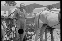 1983_Farmer with mechanical seed drill and pair of horses,