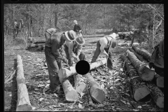 2069_Cutting logs for shingles,Wilson Cedar Forest, near Lebanon, Tennessee