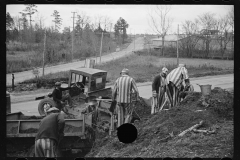 2166_Convicts working on state road, North Carolina