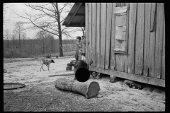 2179_Family living on Natchez Trace Project,  Lexington,  Tennessee