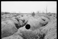 2185_Erosion control on Natchez Trace Project near Lexington, Tennessee