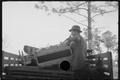 2228_W.R. Hubbard and family 'moving house' to Penderlea Farms, North Carolina