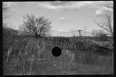 2332_Tobacco fields devastated by the Connecticut River near Northampton, Massachusetts