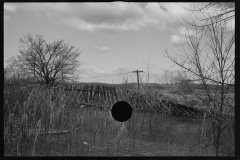 2333_Tobacco fields devastated by the Connecticut River near Northampton, Massachusetts