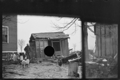 2338_ Resettlement client in yard with flood debris , Hatfield, Massachusetts