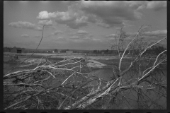 2358_After the Connecticut River had subsided near Hatfield, Massachusetts