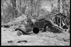 2368_ Old car revealed after the Connecticut River had subsided near Hatfield, Massachusetts