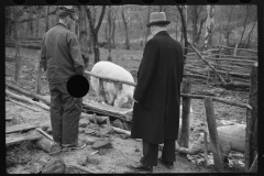2464_Resettlement Administration representative with client and pigs, Jackson County, Ohio
