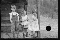 2492_Three of a family of ten  to be resettled on Ross-Hocking Land Project near Chillicothe, Ohio