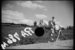 2546_ Farm boy and horse east of Lowell, Vermont