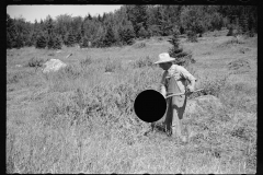 2555_Clearing ground with scythe , probably Lowell, Vermont.