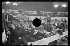 2582_ Cattle experts at the stock show, Eastern States Fair, Springfield, Massachusetts