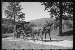 2628_Old Vermont carriage and farming family near North Hyde Park, Vermont