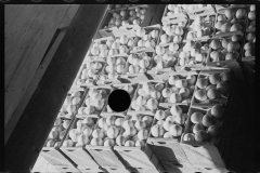 2634_Packing fruit in the packing-house at Fort Pierce, Florida