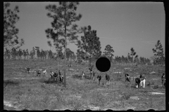 2685_US Resettlement Administration ,   Withlacoochee Land Use Project, Florida