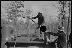 2687_Fire fighting crew getting ready to put out a fire, Withlacoochee Land Use Project, Florida