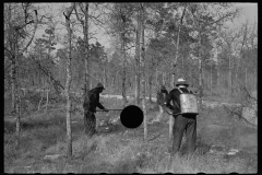 2689_Putting out a small forest fires, Withlacoochee Land Use Project, Florida