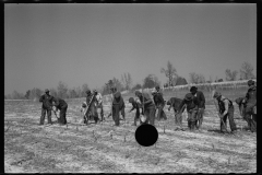 2746_Planting slash pine, Tuskegee Project, Macon County, Alabama,