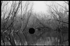 2755_Beaver dam, Tuskegee Project, Macon County, Alabama