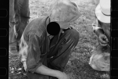 2795_Members of threshing gang taking a break ,  Frederick, Maryland