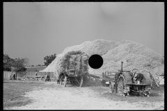 2800_ Job nearly finished , wheat threshing ,  Frederick, Maryland