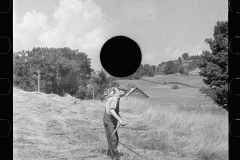 2815_Cutting Hay with a scythe ,  Windsor County, Vermont