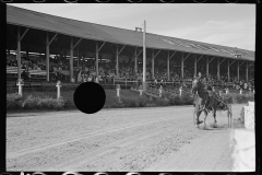 2833_Trotting horse race, State Fair, Rutland, Vermont