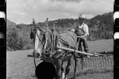 2876_Frank Kinney abord a hay rake, Eden Mills, Vermont